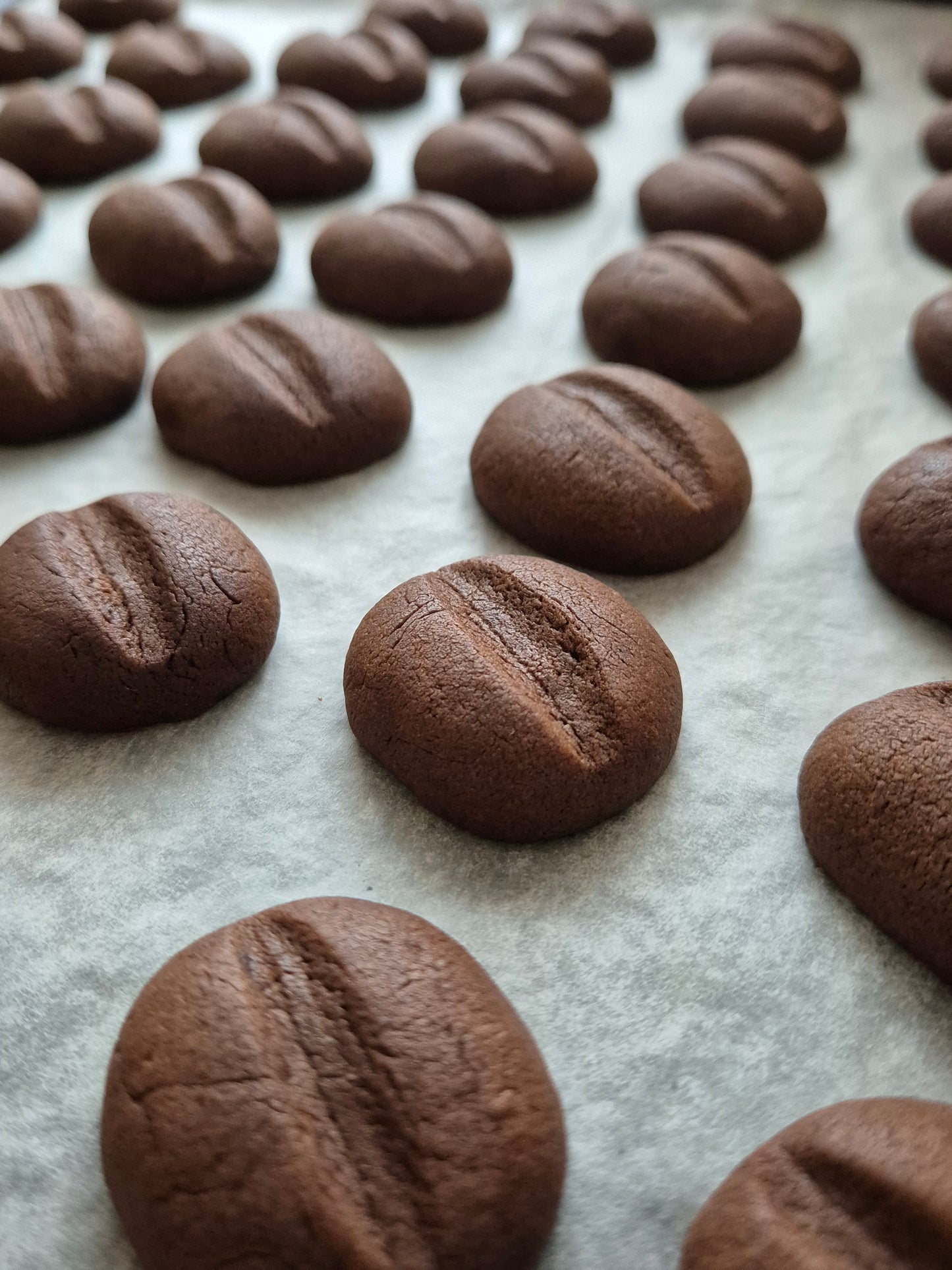 Coffee Bean